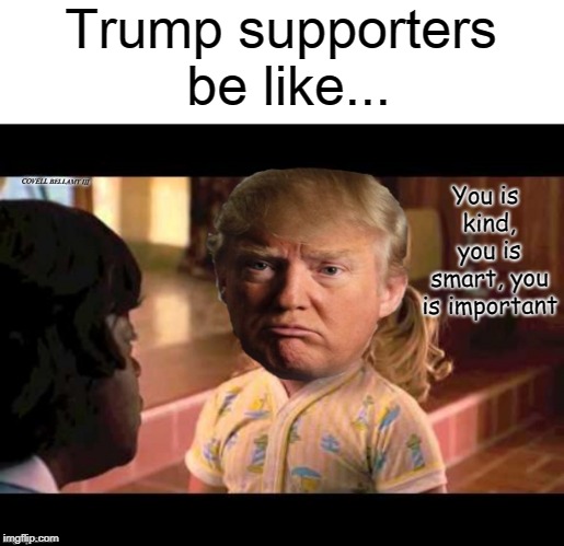 Trump supporters be like... You is kind, you is smart, you is important; COVELL BELLAMY III | image tagged in trump supporters be like | made w/ Imgflip meme maker