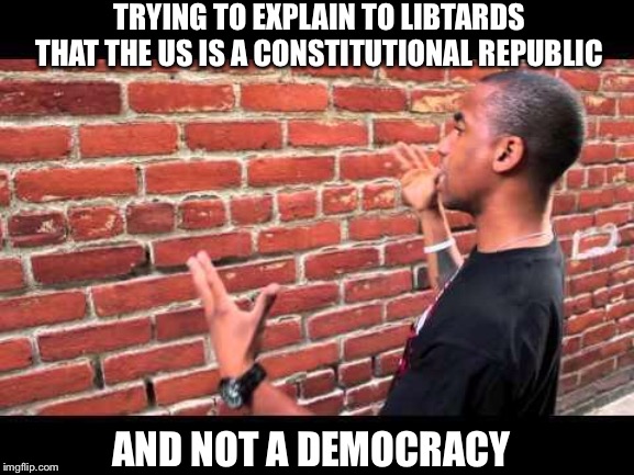 Brick wall guy | TRYING TO EXPLAIN TO LIBTARDS THAT THE US IS A CONSTITUTIONAL REPUBLIC; AND NOT A DEMOCRACY | image tagged in brick wall guy,democrats,liberal logic | made w/ Imgflip meme maker