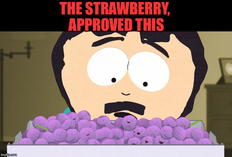 mem berries | THE STRAWBERRY, APPROVED THIS | image tagged in mem berries | made w/ Imgflip meme maker