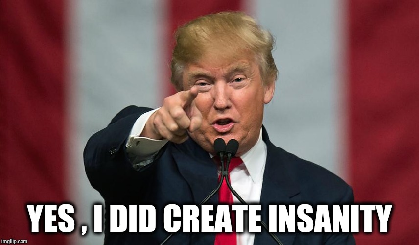 He takes no responsibility for Ocasio-Cortez | YES , I DID CREATE INSANITY | image tagged in president trump,nothing,what happened,before,blame,game | made w/ Imgflip meme maker