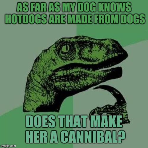 raptor | AS FAR AS MY DOG KNOWS HOTDOGS ARE MADE FROM DOGS; DOES THAT MAKE HER A CANNIBAL? | image tagged in raptor | made w/ Imgflip meme maker