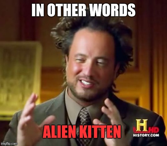 Ancient Aliens Meme | IN OTHER WORDS ALIEN KITTEN | image tagged in memes,ancient aliens | made w/ Imgflip meme maker