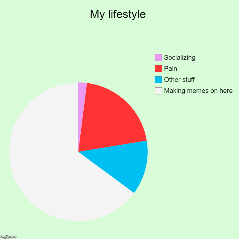 my lifestyle
 | My lifestyle | Making memes on here, Other stuff, Pain, Socializing | image tagged in charts,pie charts | made w/ Imgflip chart maker