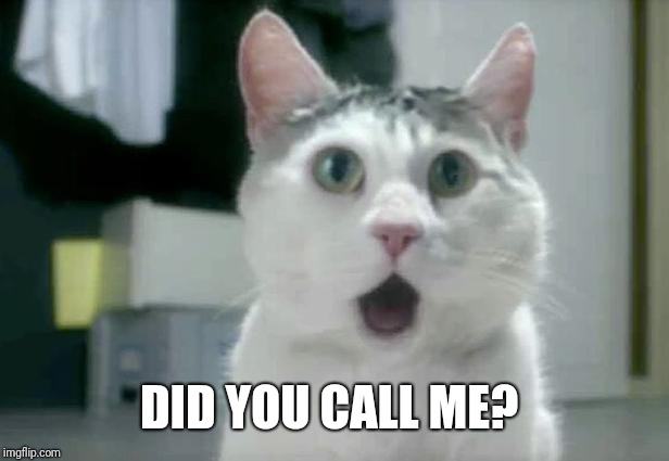 OMG Cat Meme | DID YOU CALL ME? | image tagged in memes,omg cat | made w/ Imgflip meme maker