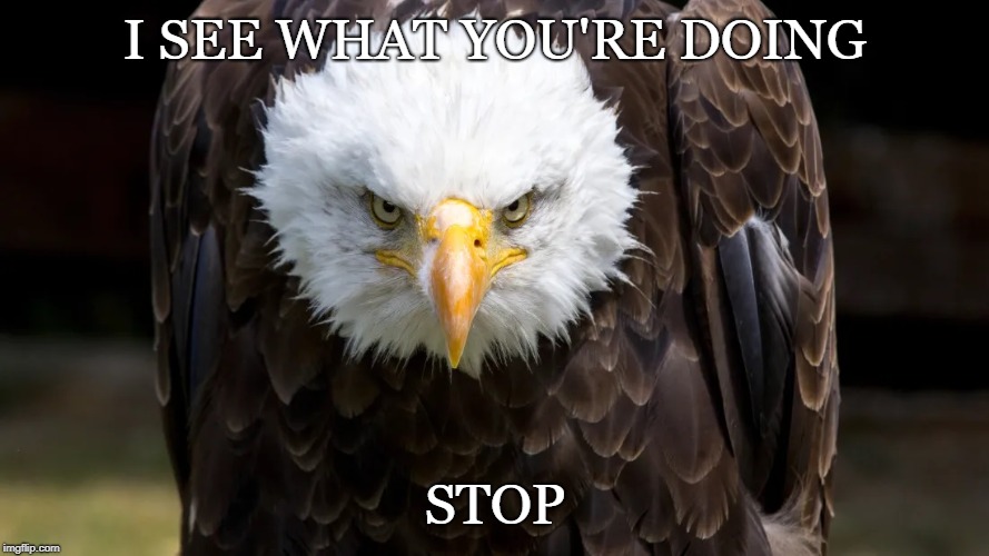 Angry Eagle | I SEE WHAT YOU'RE DOING; STOP | image tagged in angry,disappointment,stare dad | made w/ Imgflip meme maker