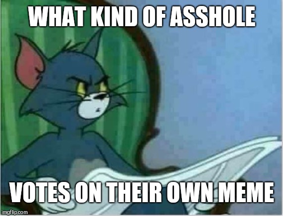 Interrupting Tom's Read | WHAT KIND OF ASSHOLE VOTES ON THEIR OWN MEME | image tagged in interrupting tom's read | made w/ Imgflip meme maker