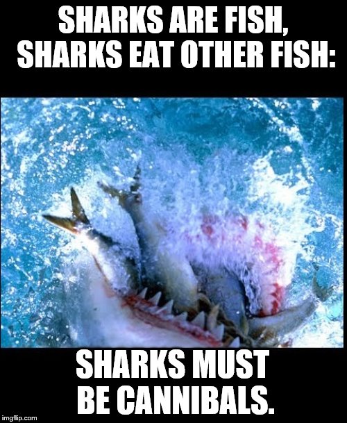 SHARKS ARE FISH, SHARKS EAT OTHER FISH: SHARKS MUST BE CANNIBALS. | made w/ Imgflip meme maker