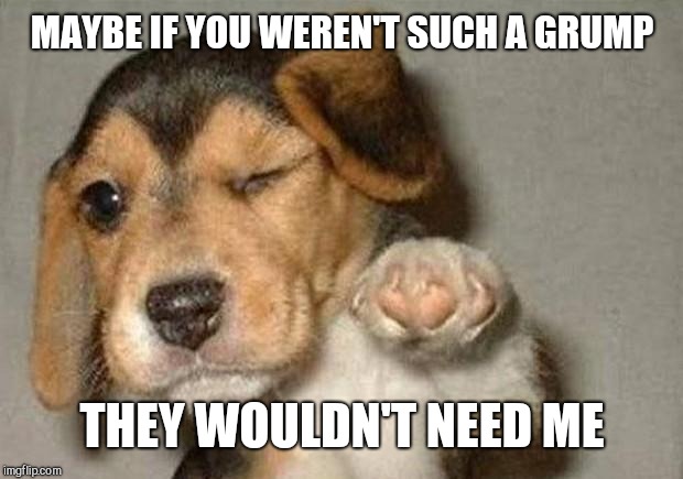 Winking Dog | MAYBE IF YOU WEREN'T SUCH A GRUMP THEY WOULDN'T NEED ME | image tagged in winking dog | made w/ Imgflip meme maker