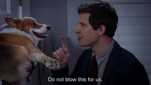 do not blow this for us brooklyn 99 Blank Meme Template