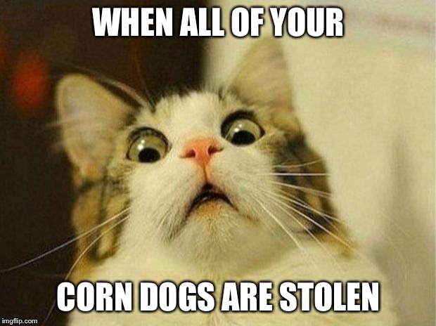 Scared Cat | WHEN ALL OF YOUR; CORN DOGS ARE STOLEN | image tagged in memes,scared cat | made w/ Imgflip meme maker