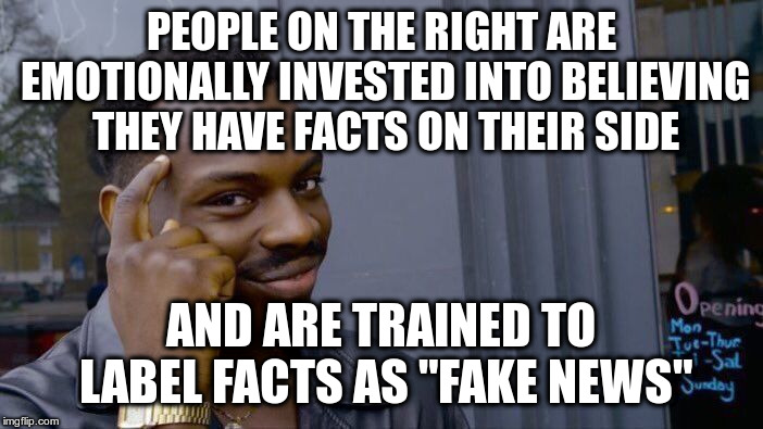 Actually neither the right nor the left have a monopoly on facts | PEOPLE ON THE RIGHT ARE EMOTIONALLY INVESTED INTO BELIEVING THEY HAVE FACTS ON THEIR SIDE; AND ARE TRAINED TO LABEL FACTS AS "FAKE NEWS" | image tagged in roll safe think about it,fake news,facts,alternative facts | made w/ Imgflip meme maker