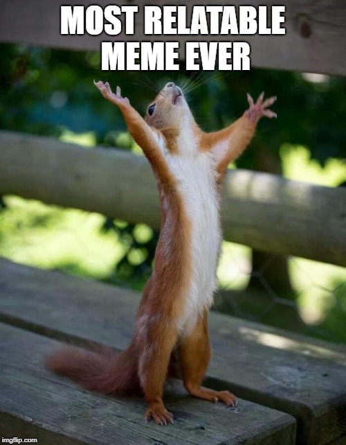 Happy Squirrel | MOST RELATABLE MEME EVER | image tagged in happy squirrel | made w/ Imgflip meme maker