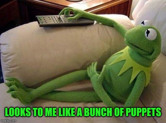 Kermit Sofa | LOOKS TO ME LIKE A BUNCH OF PUPPETS | image tagged in kermit sofa | made w/ Imgflip meme maker