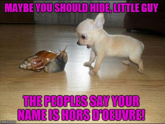 Heads up, little friend: Doggo Week March 10-16 a Blaze_the_Blaziken and 1forpeace Event | MAYBE YOU SHOULD HIDE, LITTLE GUY; THE PEOPLES SAY YOUR NAME IS HORS D'OEUVRE! | image tagged in snail  pup,doggo week,cute puppies | made w/ Imgflip meme maker