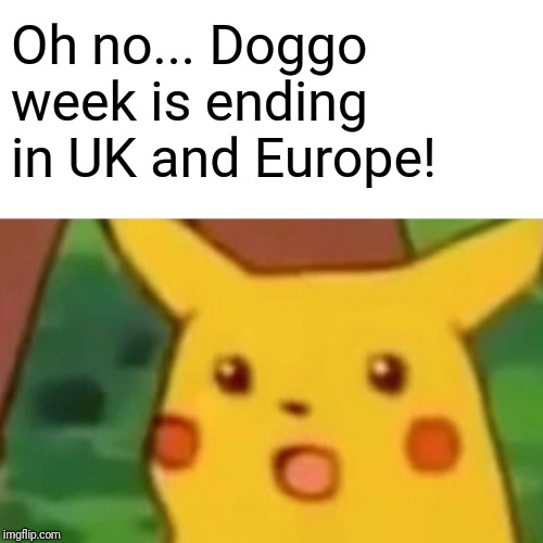 Surprised Pikachu Meme | Oh no... Doggo week is ending in UK and Europe! | image tagged in memes,surprised pikachu | made w/ Imgflip meme maker