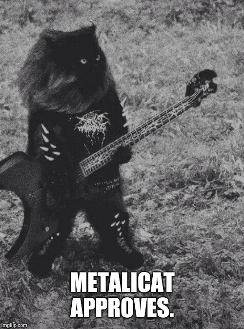 Black Metal Cat | METALICAT APPROVES. | image tagged in black metal cat | made w/ Imgflip meme maker