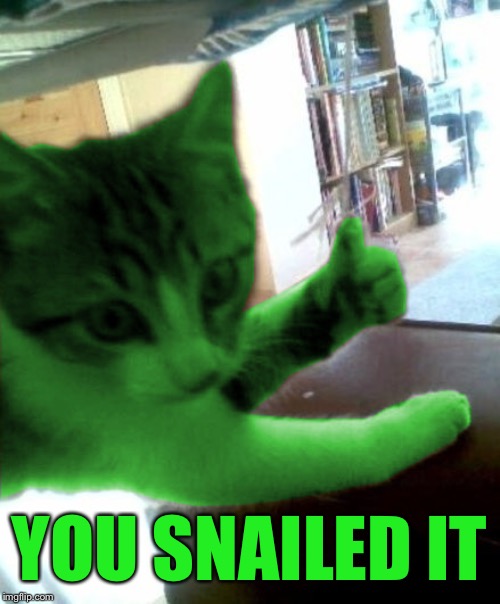 thumbs up RayCat | YOU SNAILED IT | image tagged in thumbs up raycat | made w/ Imgflip meme maker