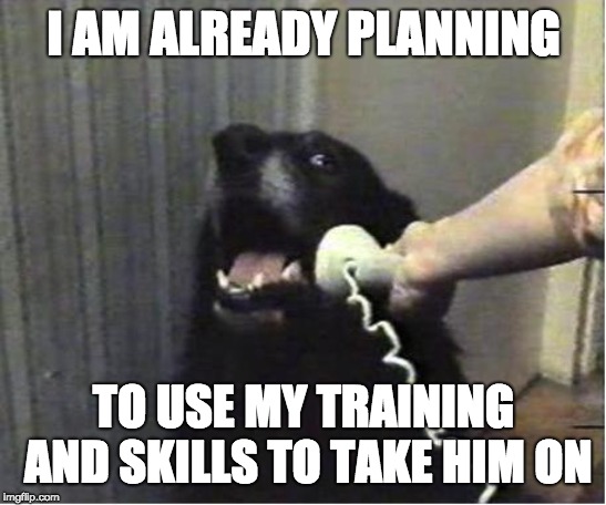 Yes this is dog | I AM ALREADY PLANNING TO USE MY TRAINING AND SKILLS TO TAKE HIM ON | image tagged in yes this is dog | made w/ Imgflip meme maker