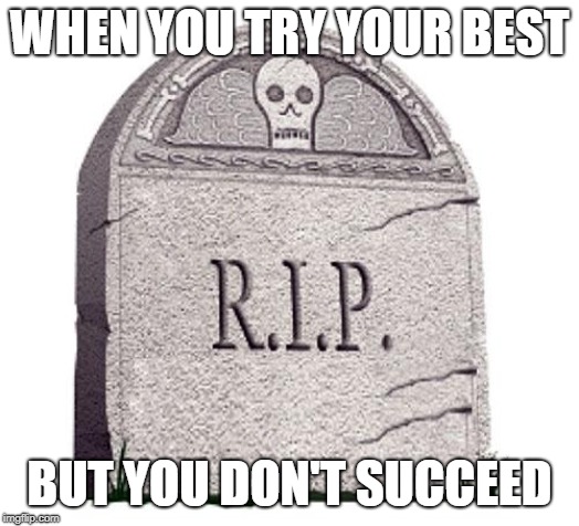 RIP | WHEN YOU TRY YOUR BEST; BUT YOU DON'T SUCCEED | image tagged in rip | made w/ Imgflip meme maker