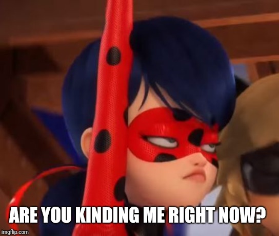 Grumpy Miraculous | ARE YOU KINDING ME RIGHT NOW? | image tagged in grumpy miraculous | made w/ Imgflip meme maker