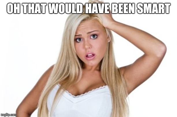 Dumb Blonde | OH THAT WOULD HAVE BEEN SMART | image tagged in dumb blonde | made w/ Imgflip meme maker