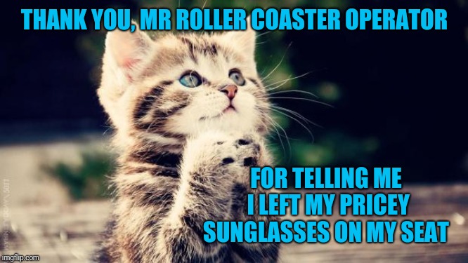 True story. The guy really helped me out  | THANK YOU, MR ROLLER COASTER OPERATOR; FOR TELLING ME I LEFT MY PRICEY SUNGLASSES ON MY SEAT | image tagged in praying cat,memes,nice guy,cats,thank you,sunglasses | made w/ Imgflip meme maker