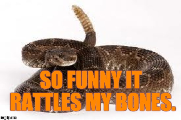 Scumbag Rattlesnake | SO FUNNY IT RATTLES MY BONES. | image tagged in scumbag rattlesnake | made w/ Imgflip meme maker