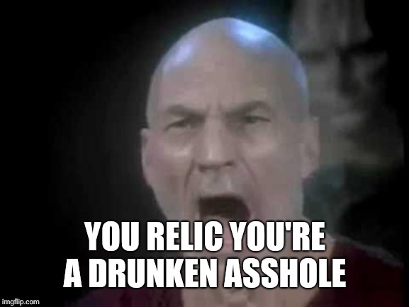 Picard Four Lights | YOU RELIC YOU'RE A DRUNKEN ASSHOLE | image tagged in picard four lights | made w/ Imgflip meme maker