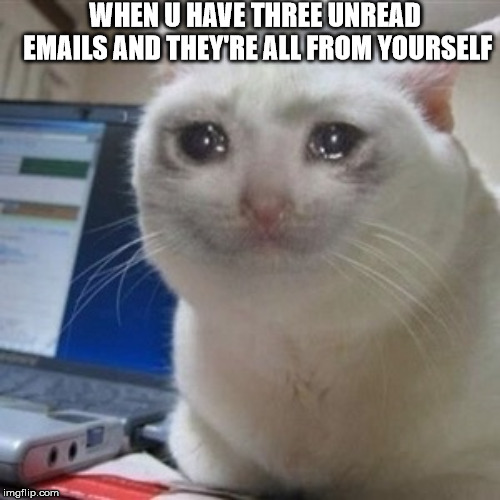 cryingcat | WHEN U HAVE THREE UNREAD EMAILS AND THEY'RE ALL FROM YOURSELF | image tagged in cryingcat | made w/ Imgflip meme maker