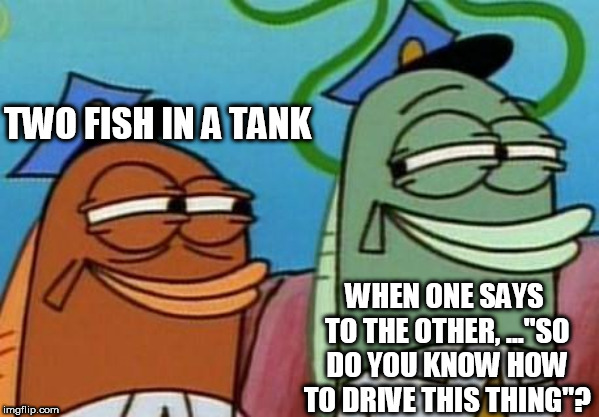 spongebob cop fish | TWO FISH IN A TANK; WHEN ONE SAYS TO THE OTHER, ..."SO DO YOU KNOW HOW TO DRIVE THIS THING"? | image tagged in spongebob cop fish | made w/ Imgflip meme maker