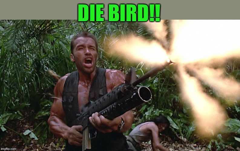 Get to the choppa! | DIE BIRD!! | image tagged in get to the choppa | made w/ Imgflip meme maker