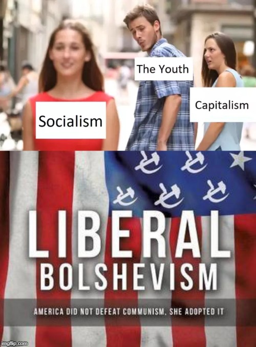Millennial Socialism | image tagged in socialism,capitalism,communist socialist,communism and capitalism,communist | made w/ Imgflip meme maker