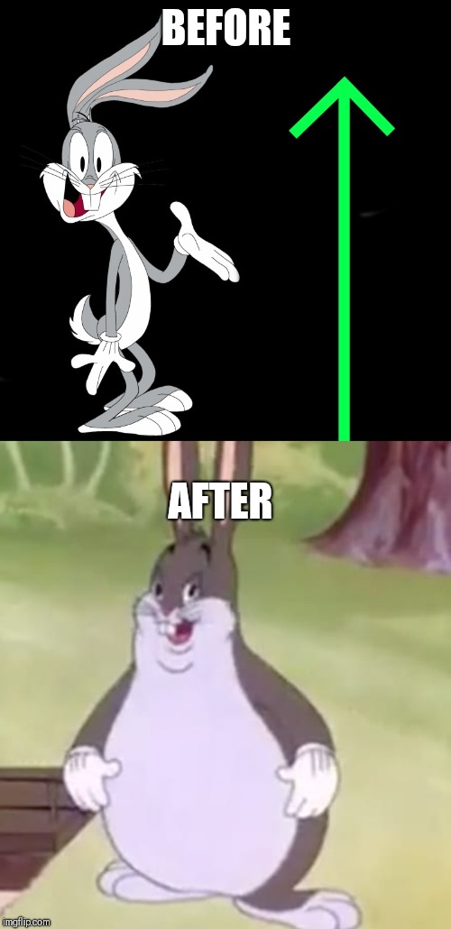 BEFORE AFTER | image tagged in big chungus,upvote rabbit | made w/ Imgflip meme maker