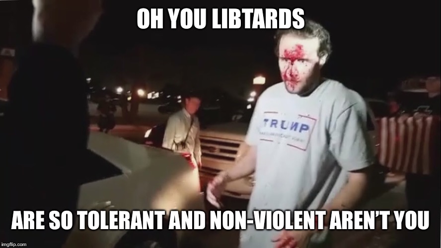 OH YOU LIBTARDS ARE SO TOLERANT AND NON-VIOLENT AREN’T YOU | made w/ Imgflip meme maker