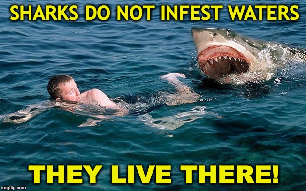 Spring Break - A Word To The Wise |  SHARKS DO NOT INFEST WATERS; THEY LIVE THERE! | image tagged in swimming with sharks,spring break,dangerous | made w/ Imgflip meme maker