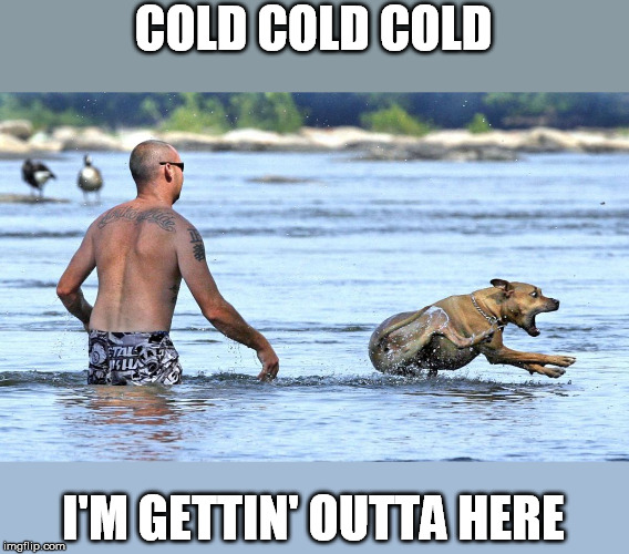 COLD COLD COLD I'M GETTIN' OUTTA HERE | made w/ Imgflip meme maker