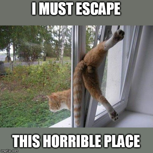 I MUST ESCAPE THIS HORRIBLE PLACE | made w/ Imgflip meme maker