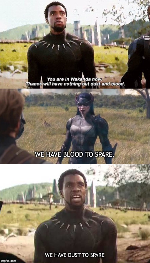 WE HAVE BLOOD TO SPARE. WE HAVE DUST TO SPARE | image tagged in wakanda,thanos,thanos snap,irony,kool kid klan | made w/ Imgflip meme maker