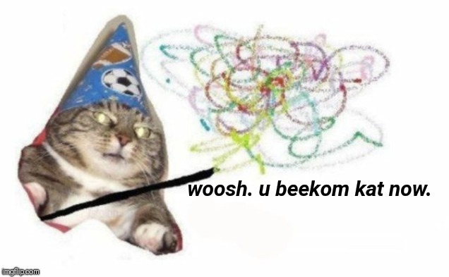 Woosh cat | woosh. u beekom kat now. | image tagged in woosh cat | made w/ Imgflip meme maker