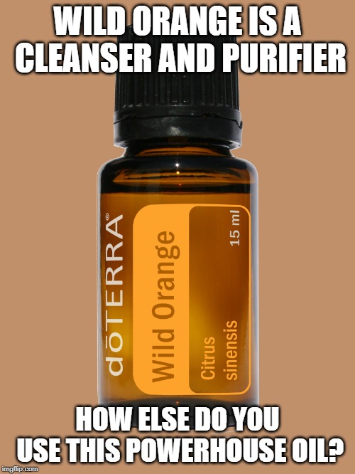 WILD ORANGE IS A CLEANSER AND PURIFIER; HOW ELSE DO YOU USE THIS POWERHOUSE OIL? | image tagged in wild orange | made w/ Imgflip meme maker