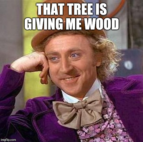 Creepy Condescending Wonka Meme | THAT TREE IS GIVING ME WOOD | image tagged in memes,creepy condescending wonka | made w/ Imgflip meme maker
