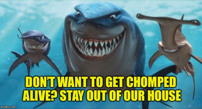 Finding Nemo Sharks | DON’T WANT TO GET CHOMPED ALIVE? STAY OUT OF OUR HOUSE | image tagged in finding nemo sharks | made w/ Imgflip meme maker