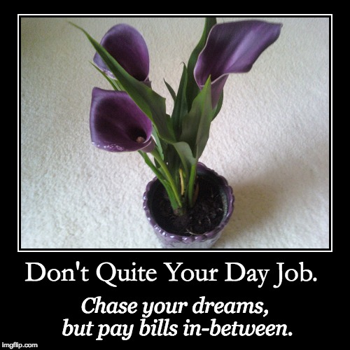 don't quite your day job | image tagged in funny,demotivationals | made w/ Imgflip demotivational maker