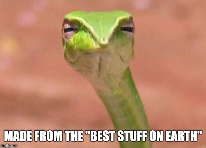 Skeptical snake | MADE FROM THE "BEST STUFF ON EARTH" | image tagged in skeptical snake | made w/ Imgflip meme maker