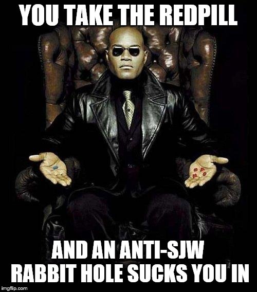 Morpheus Blue & Red Pill | YOU TAKE THE REDPILL AND AN ANTI-SJW RABBIT HOLE SUCKS YOU IN | image tagged in morpheus blue  red pill | made w/ Imgflip meme maker