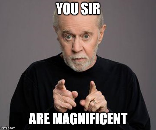 george carlin | YOU SIR ARE MAGNIFICENT | image tagged in george carlin | made w/ Imgflip meme maker