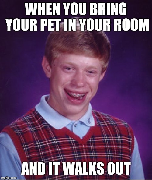 Bad Luck Brian Meme | WHEN YOU BRING YOUR PET IN YOUR ROOM; AND IT WALKS OUT | image tagged in memes,bad luck brian | made w/ Imgflip meme maker