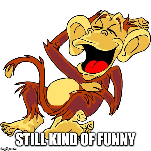 laughing monkey | STILL KIND OF FUNNY | image tagged in laughing monkey | made w/ Imgflip meme maker