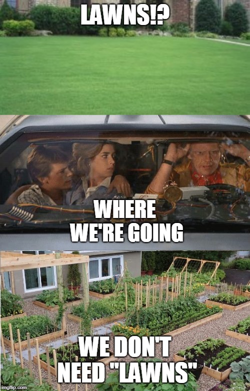 LAWNS!? WHERE WE'RE GOING; WE DON'T NEED "LAWNS" | image tagged in where we're going we don't need roads | made w/ Imgflip meme maker