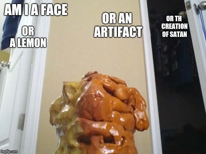 OR AN ARTIFACT; AM I A FACE; OR TH CREATION OF SATAN; OR A LEMON | image tagged in the long lost jug | made w/ Imgflip meme maker